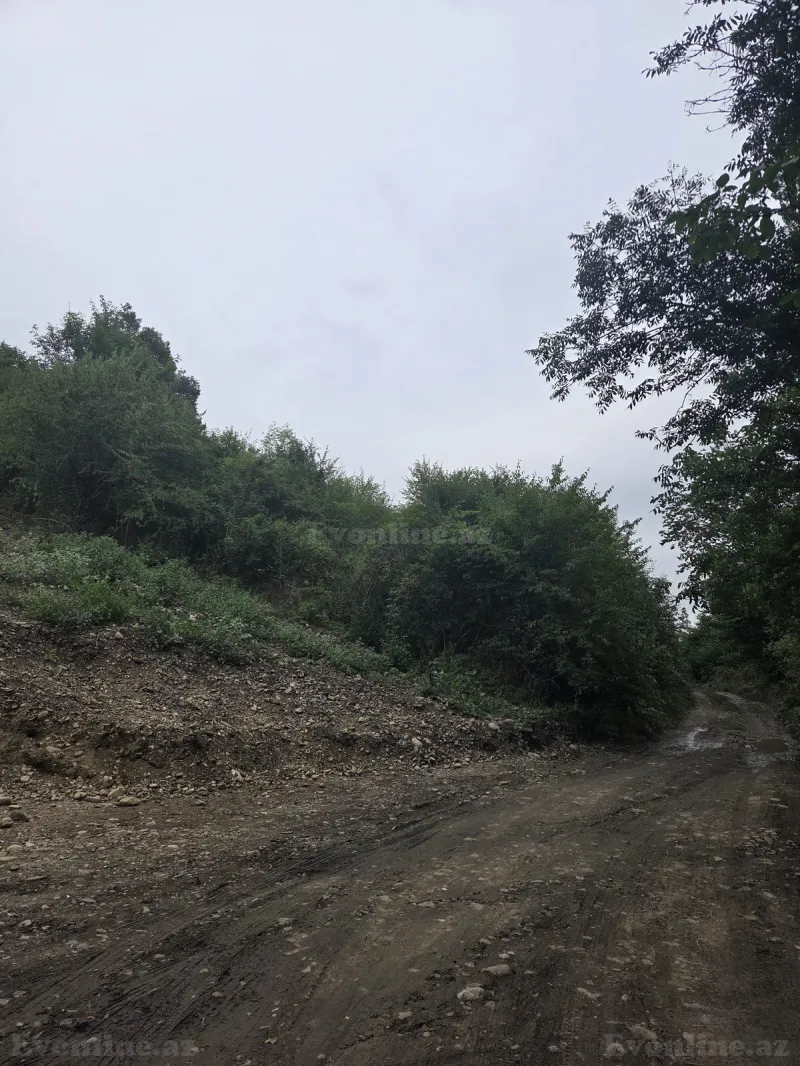 Satılır Torpaq 8 sot Qusar - şəkil 2