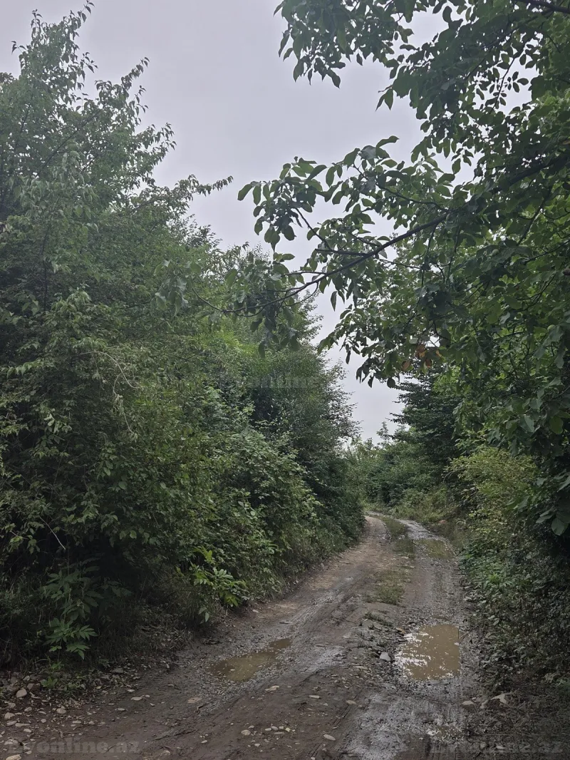 Satılır Torpaq 8 sot Qusar - şəkil 4