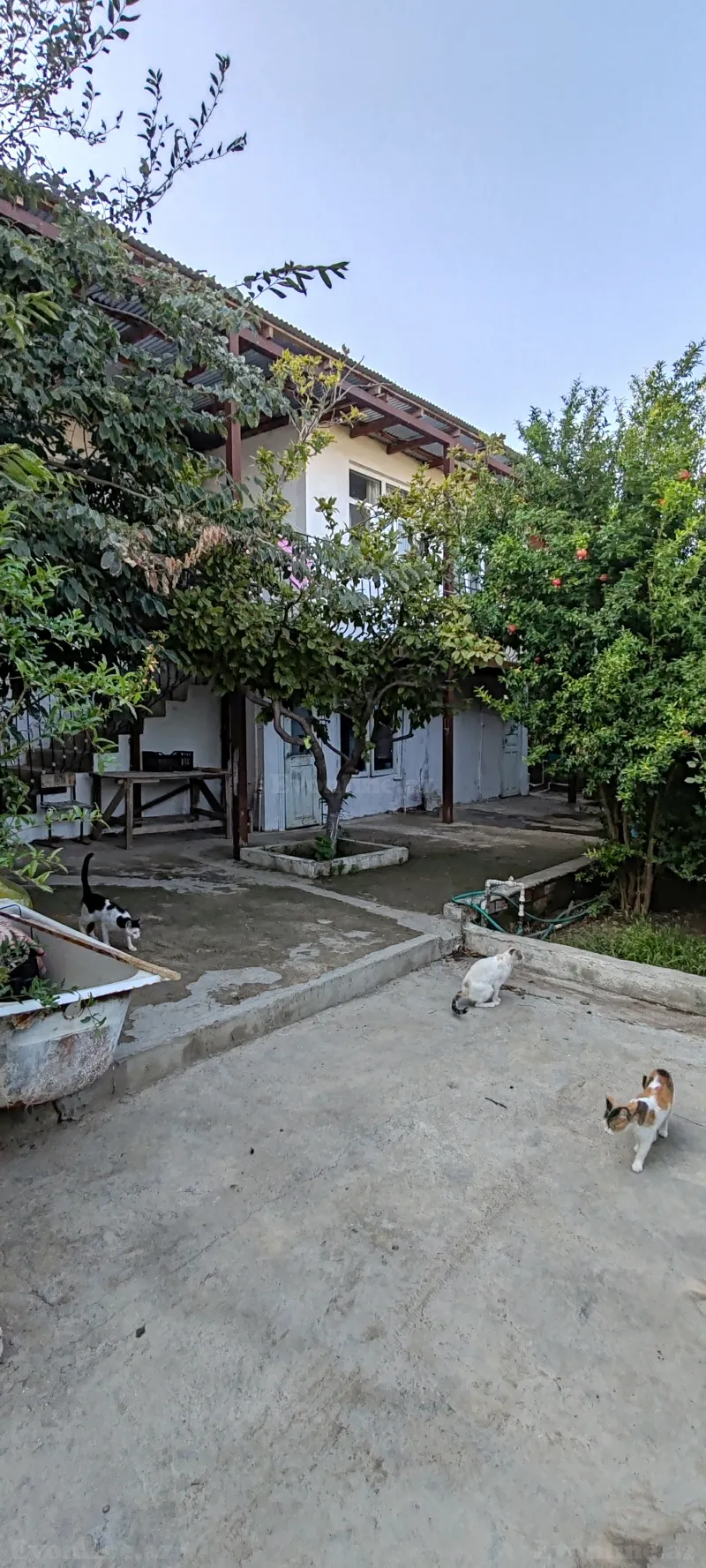 Satılır 4 otaqlı Həyət evi 110 m² Zığ - şəkil 12