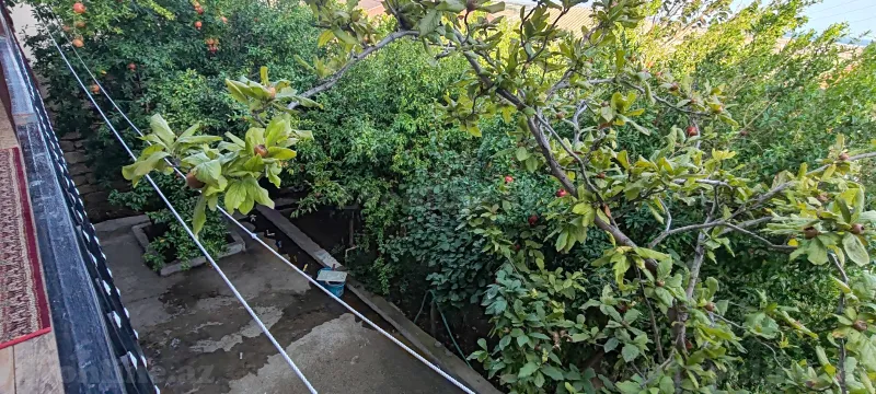 Satılır 4 otaqlı Həyət evi 110 m² Zığ - şəkil 14