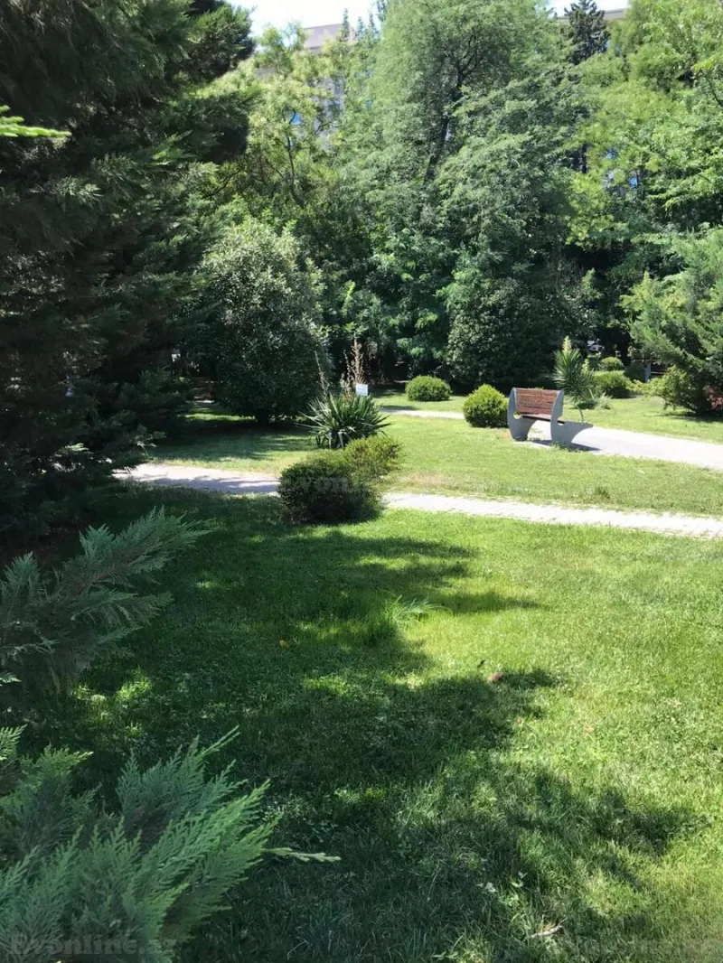 Kirayə verilir 3 otaqlı Mənzil Köhnə tikili 100 m² 8-ci mikrorayon - şəkil 23