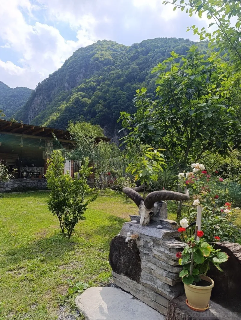 Kirayə verilir 5 otaqlı Həyət evi 160 m² Qax - şəkil 2