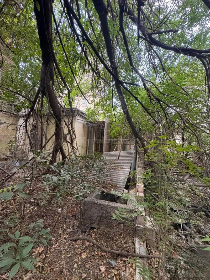 Satılır Torpaq 9 sot Sahil m. - şəkil 12