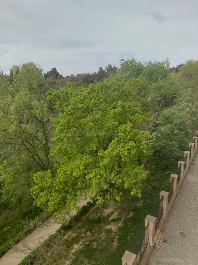 Satılır 3 otaqlı Mənzil Yeni tikili 137 m² Səbail r. - şəkil 4