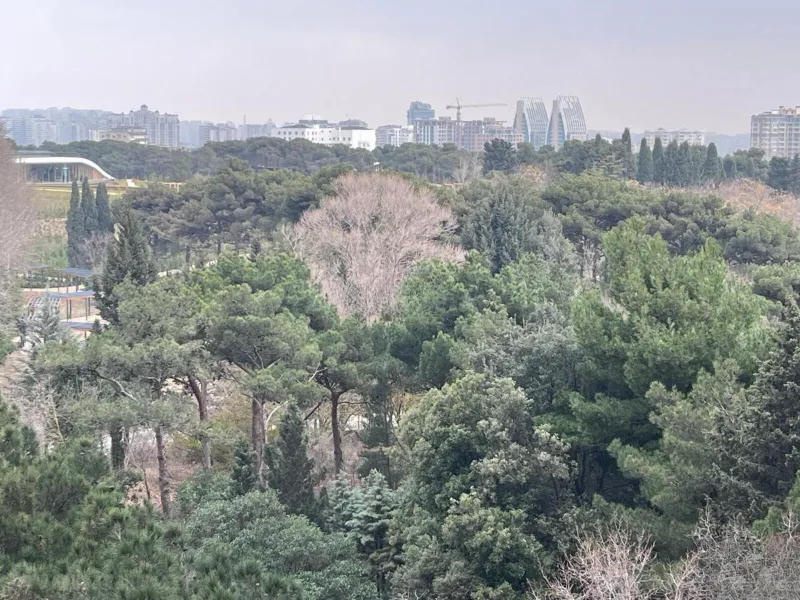 Satılır 3 otaqlı Mənzil Yeni tikili 137 m² Səbail r. - şəkil 5