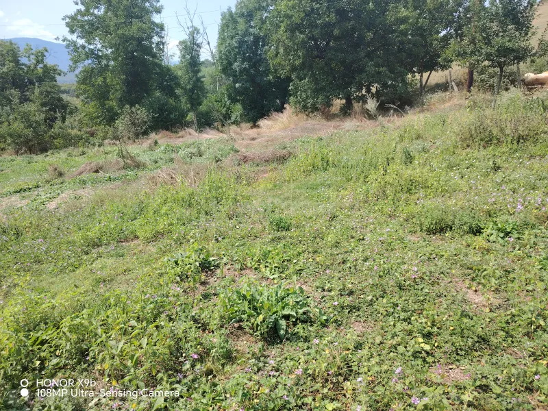 Torpaq Quba Satılır