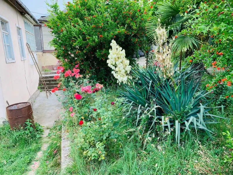 Satılır 6 otaqlı Həyət evi 1800 m² Quba - şəkil 5