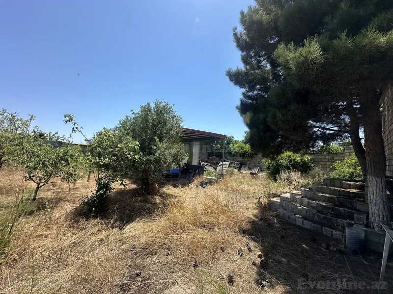 Satılır Torpaq 24 sot Albalılıq - şəkil 9