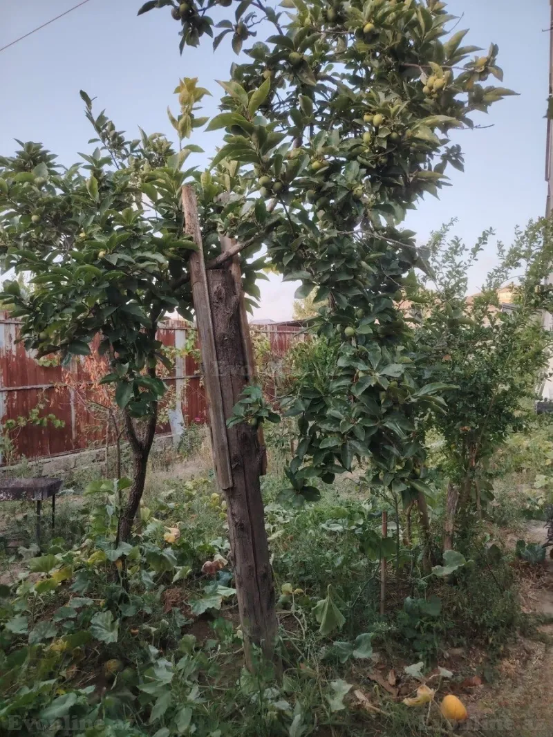 Satılır 4 otaqlı Həyət evi 122 m² Qaraçuxur - şəkil 19