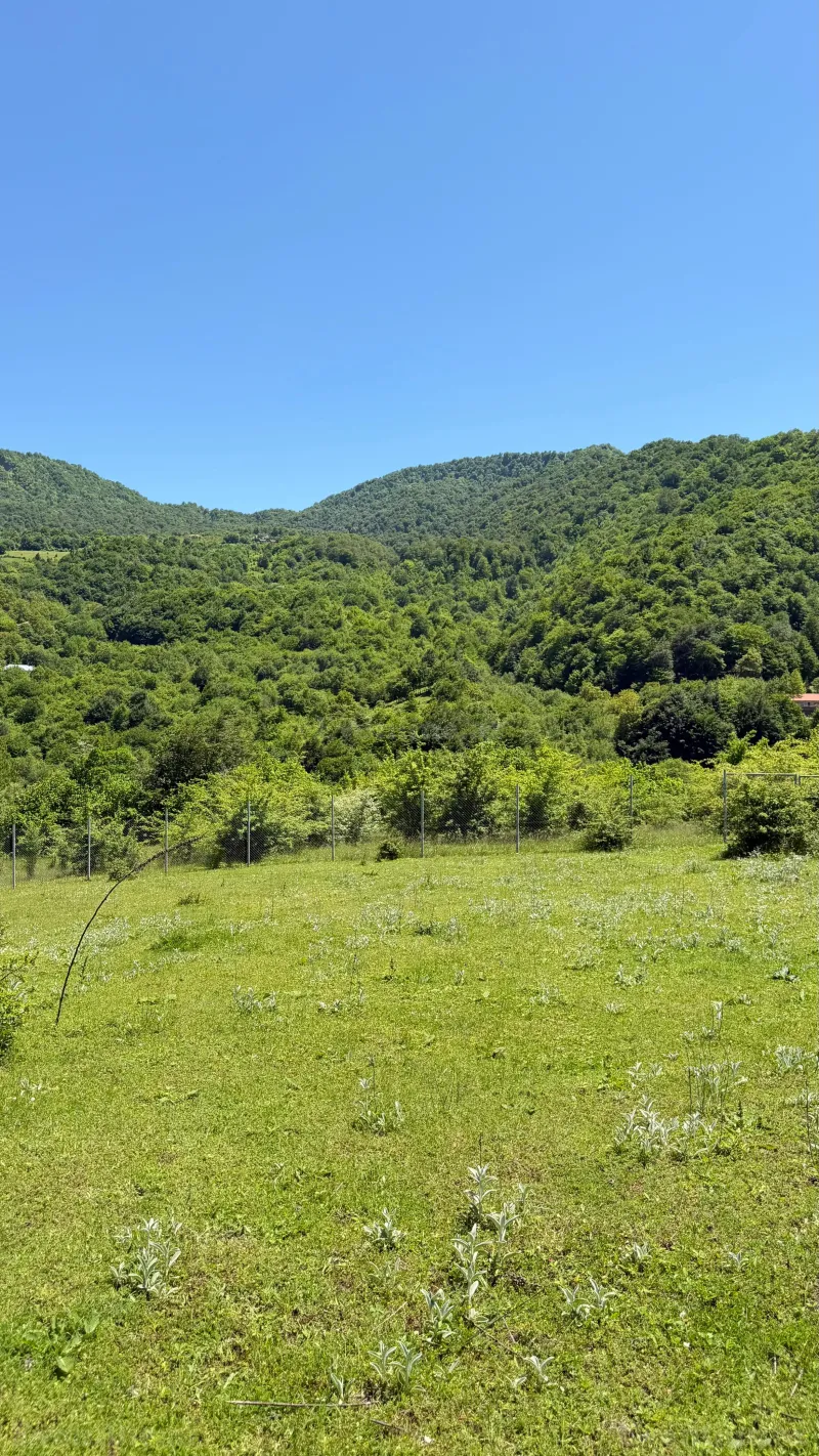 Satılır Torpaq 6 sot Quba - şəkil 2