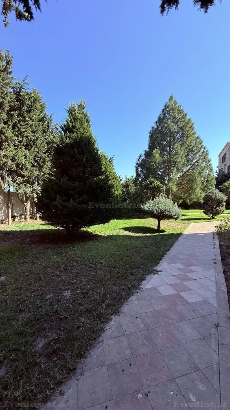 Torpaq Badamdar Satılır