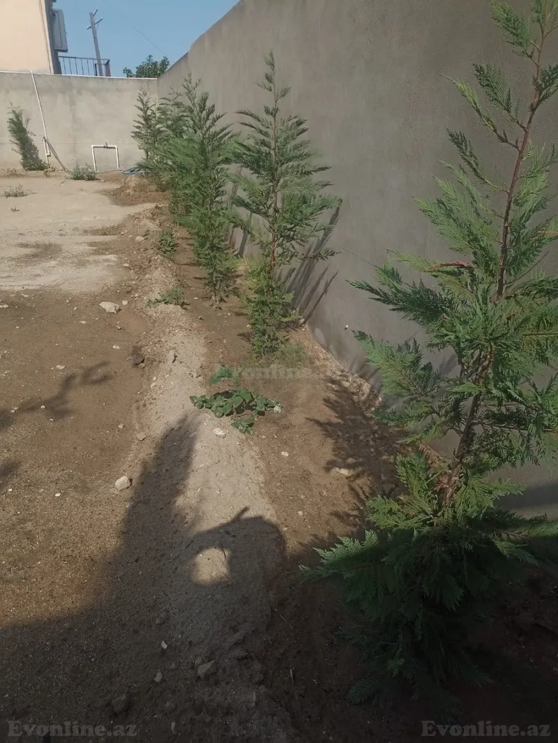 Satılır Torpaq 6 sot Buzovna - şəkil 3