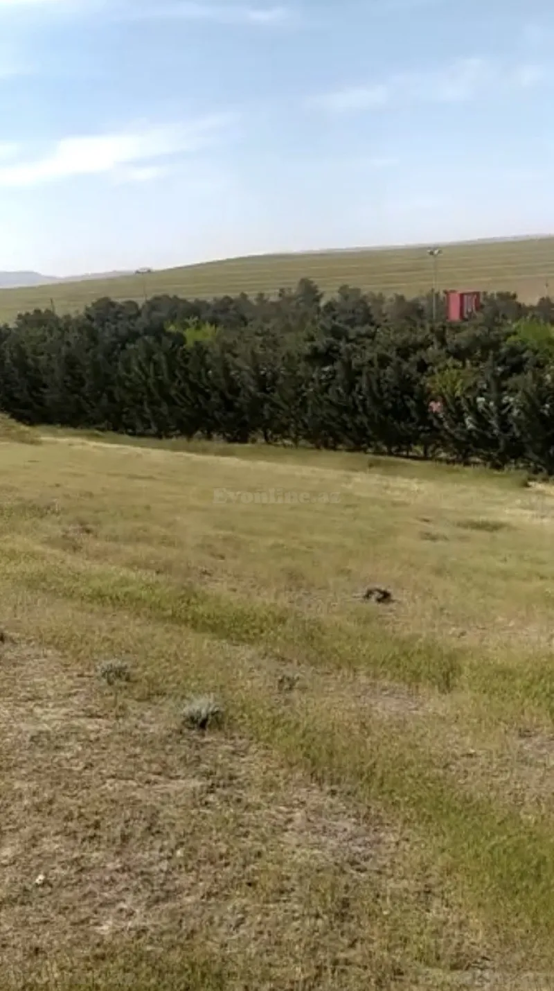 Satılır Torpaq 10 sot Sumqayıt - şəkil 2
