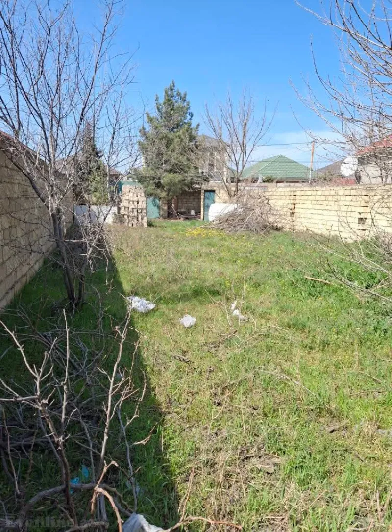 Satılır Torpaq 4 sot Saray - şəkil 2