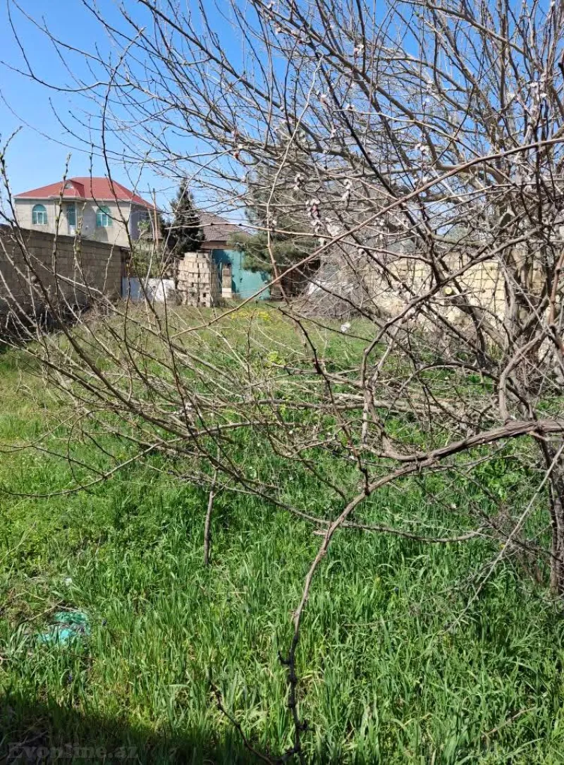 Satılır Torpaq 4 sot Saray - şəkil 4