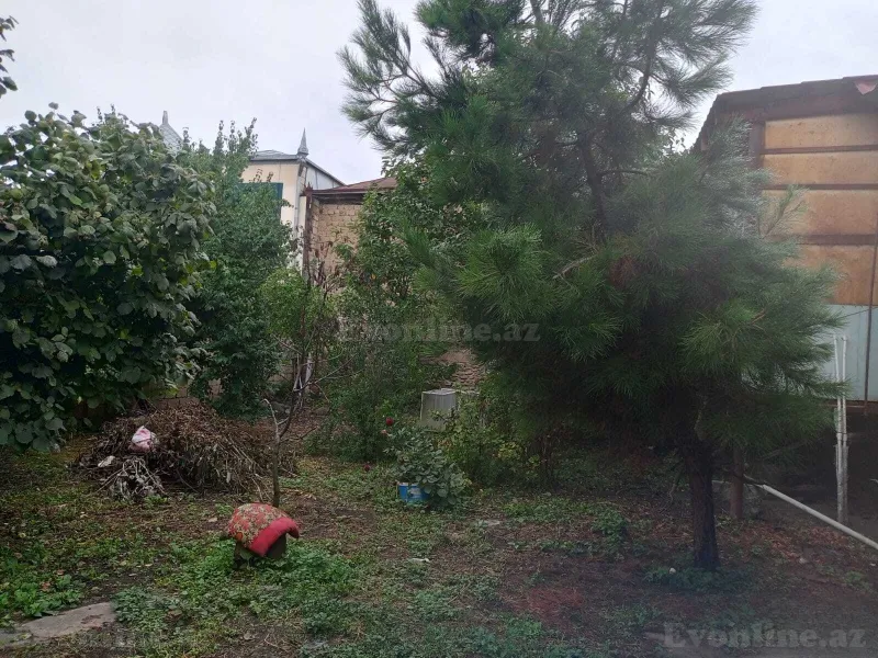 Satılır Torpaq 4 sot Quba - şəkil 3