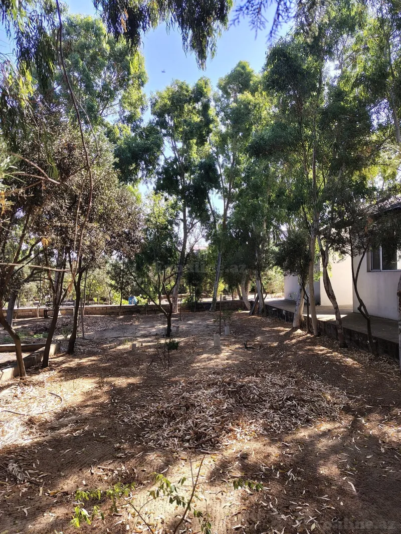 Satılır 7 otaqlı Həyət evi 170 m² Nardaran - şəkil 2