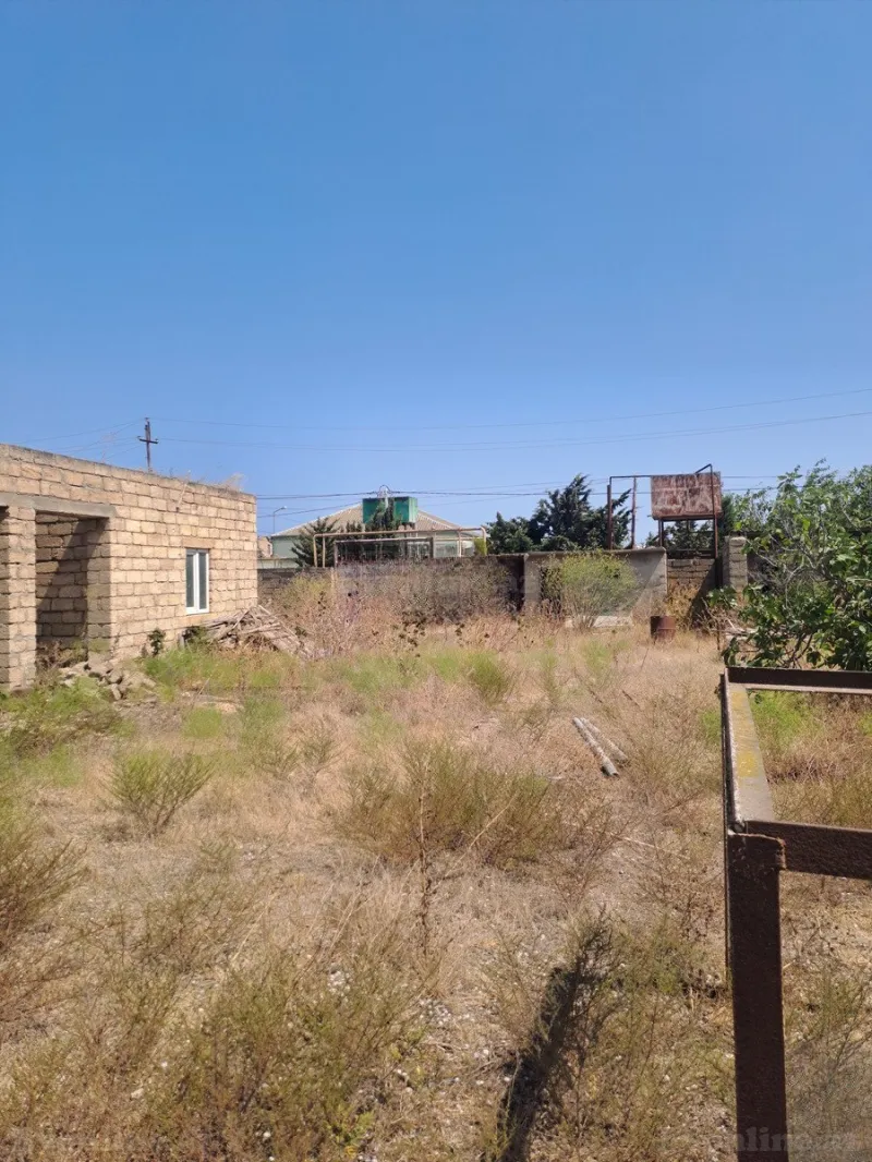 Satılır Torpaq 12 sot Zirə - şəkil 2