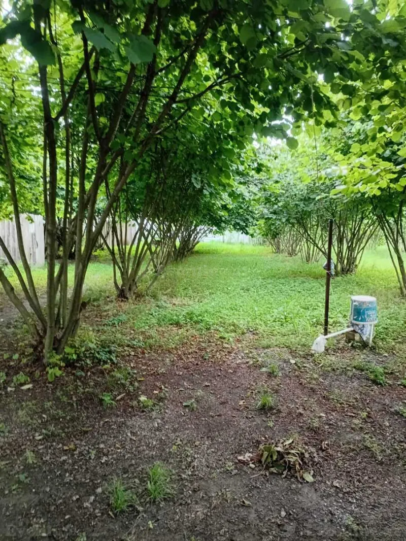 Satılır 2 otaqlı Həyət evi 40 m² Qax - şəkil 8