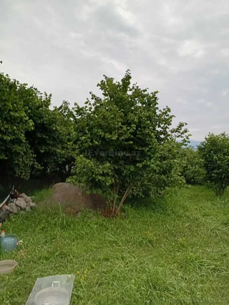 Satılır 2 otaqlı Həyət evi 40 m² Qax - şəkil 10