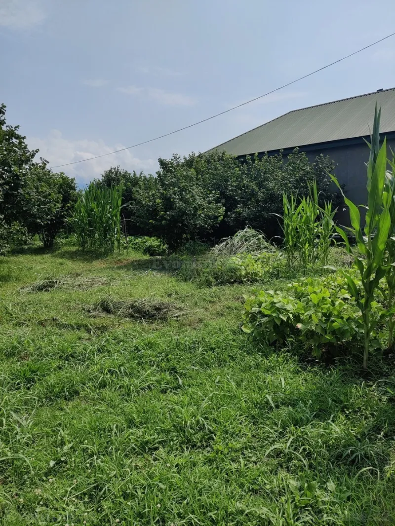 Satılır 2 otaqlı Həyət evi 40 m² Qax - şəkil 12
