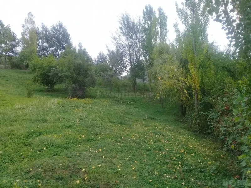 Satılır Torpaq 16 sot İsmayıllı - şəkil 2