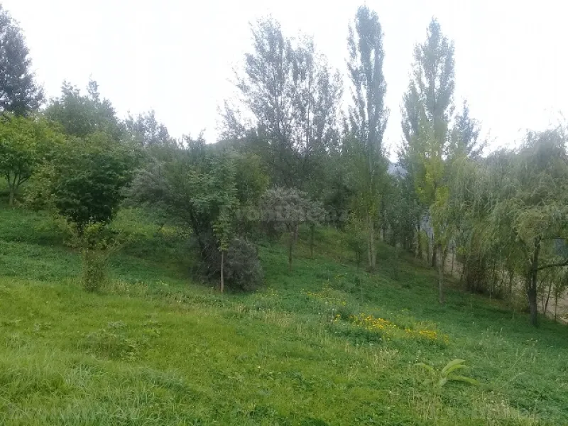 Satılır Torpaq 16 sot İsmayıllı - şəkil 3