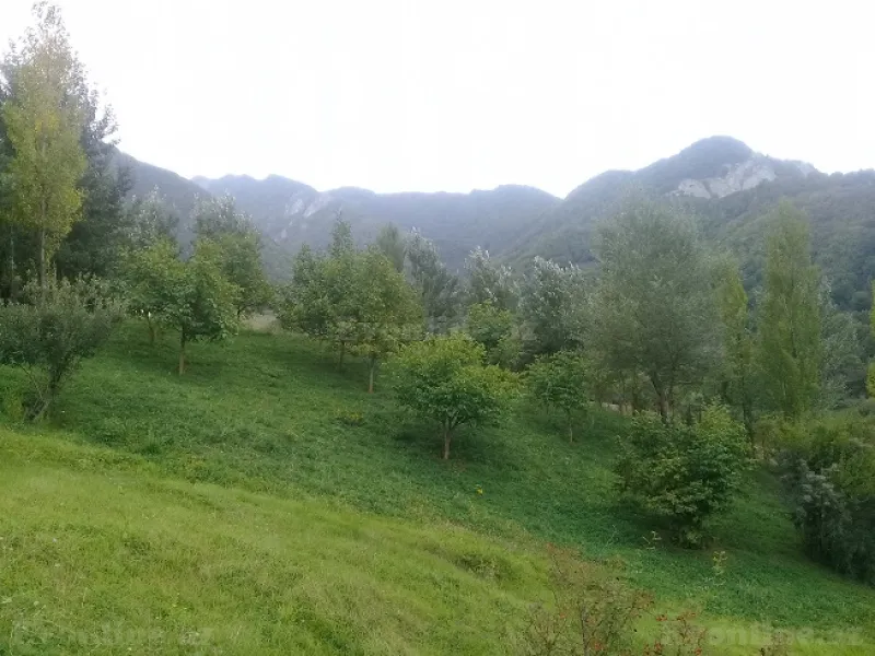 Satılır Torpaq 16 sot İsmayıllı - şəkil 4