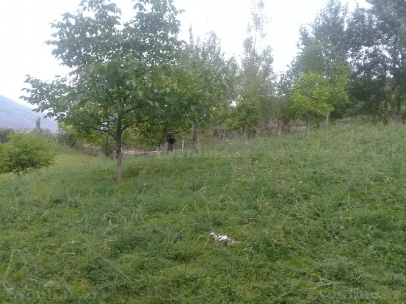 Satılır Torpaq 16 sot İsmayıllı - şəkil 10