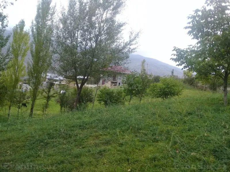Satılır Torpaq 16 sot İsmayıllı - şəkil 11