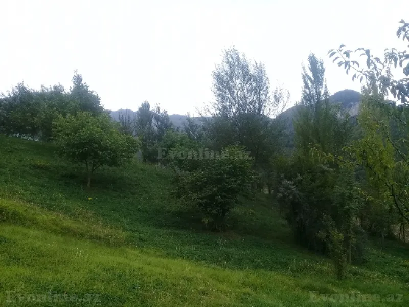 Satılır Torpaq 16 sot İsmayıllı - şəkil 13