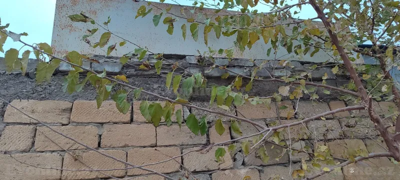 3 otaqlı Həyət evi 1200 m² Nardaran Satılır