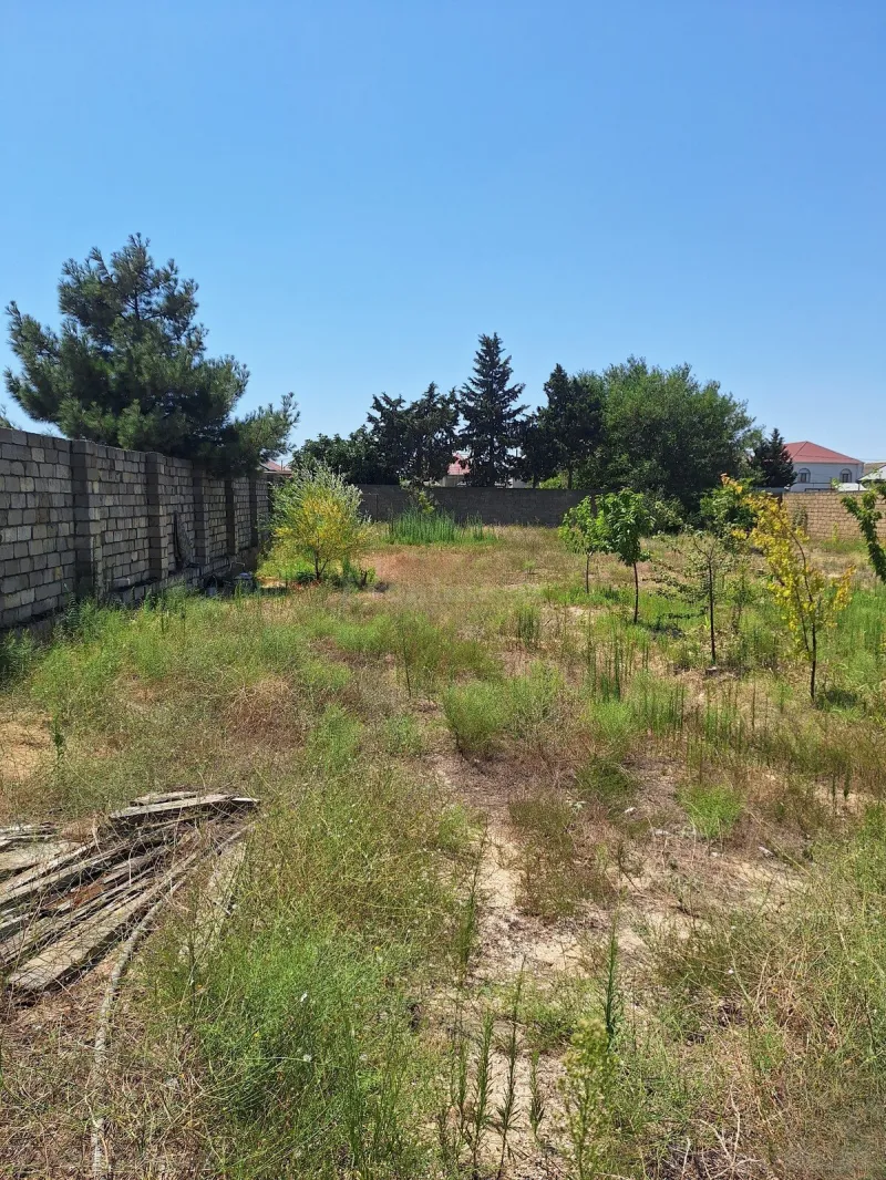 Satılır Torpaq 10 sot Abşeron r. - şəkil 5