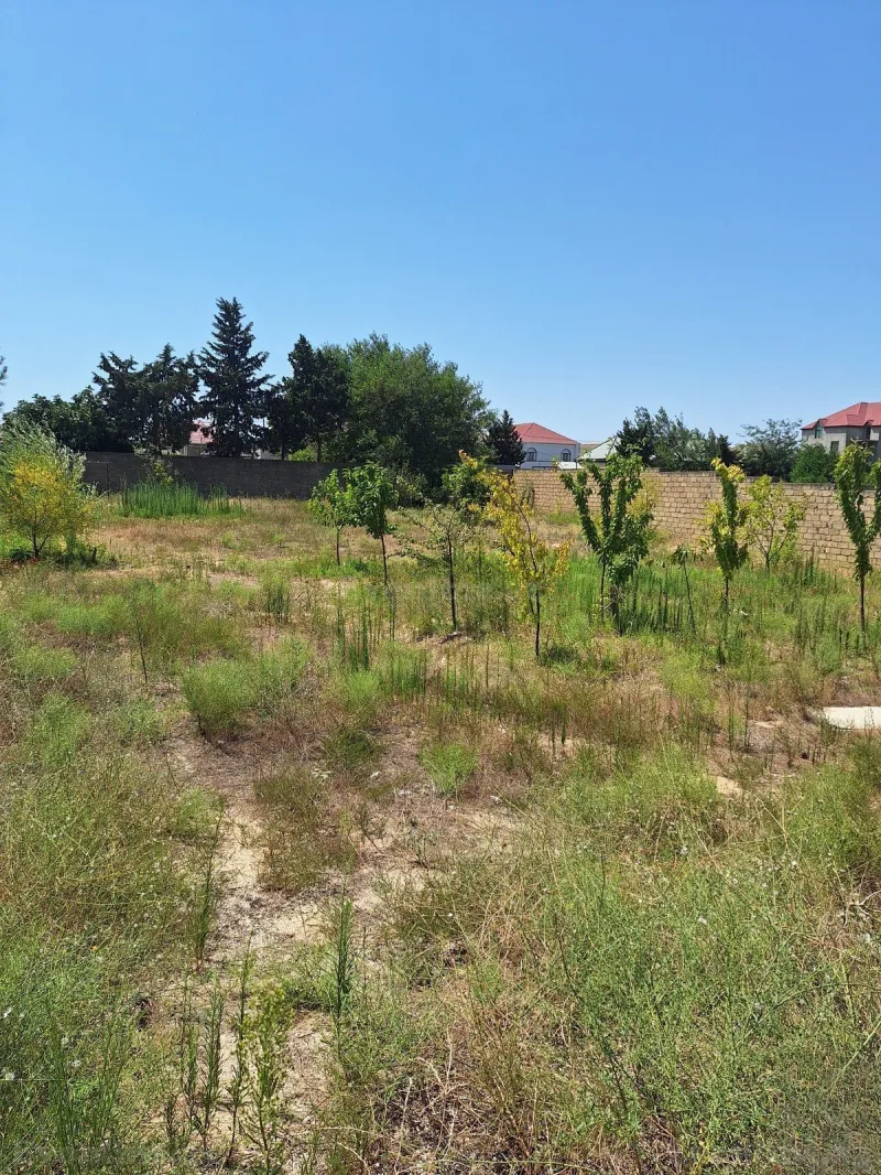 Satılır Torpaq 10 sot Abşeron r. - şəkil 6