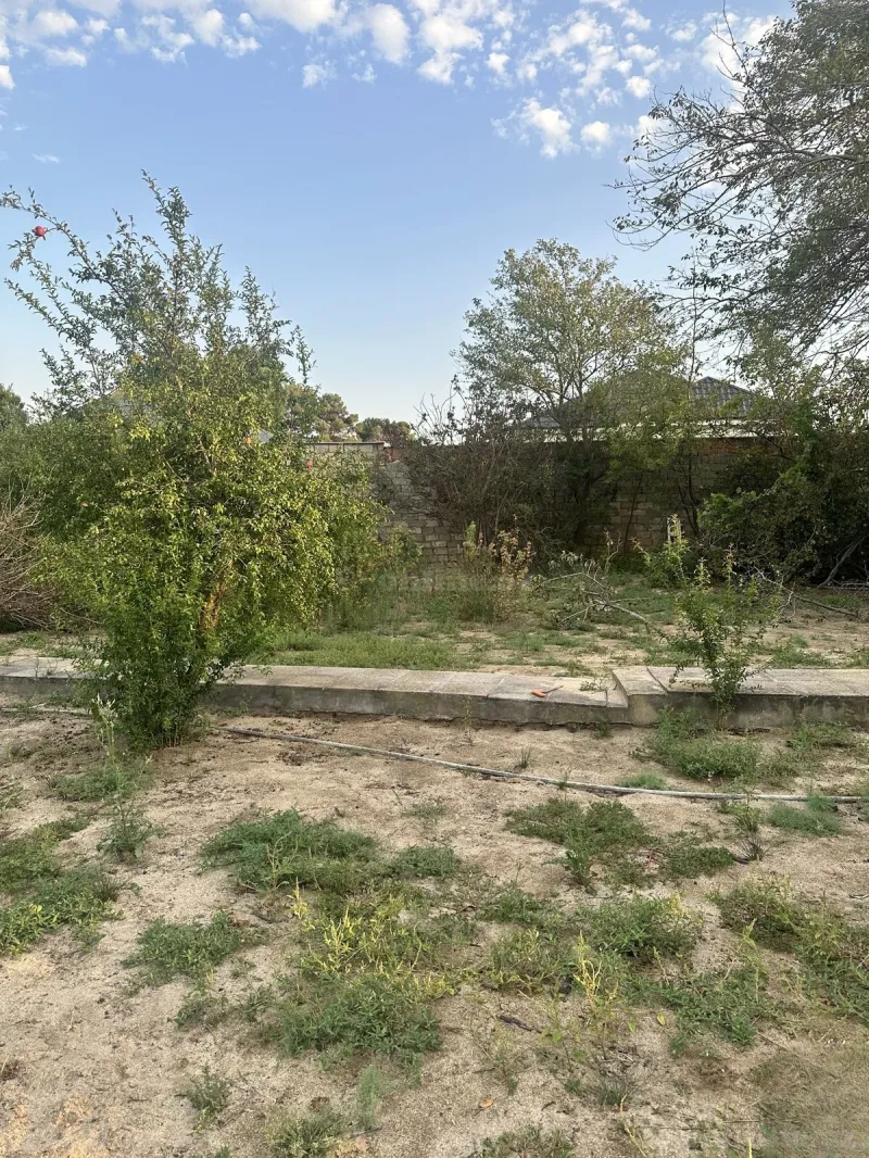 Satılır Torpaq 25 sot Novxanı - şəkil 4
