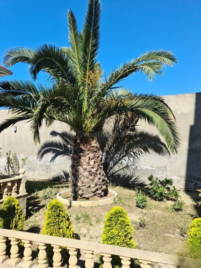 Satılır 10 otaqlı Həyət evi 550 m² 8-ci mikrorayon - şəkil 14
