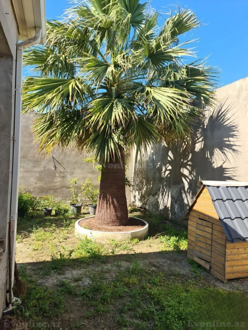 Satılır 10 otaqlı Həyət evi 550 m² 8-ci mikrorayon - şəkil 15