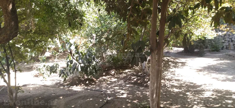 Satılır Torpaq 5 sot Bakıxanov - şəkil 9