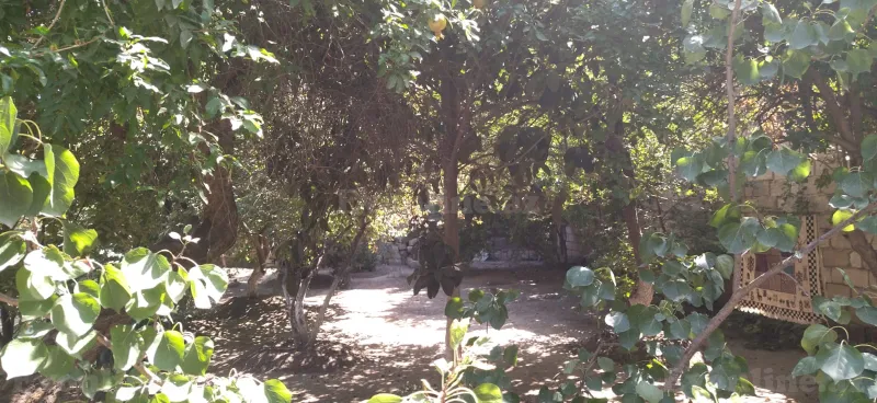 Satılır Torpaq 5 sot Bakıxanov - şəkil 18