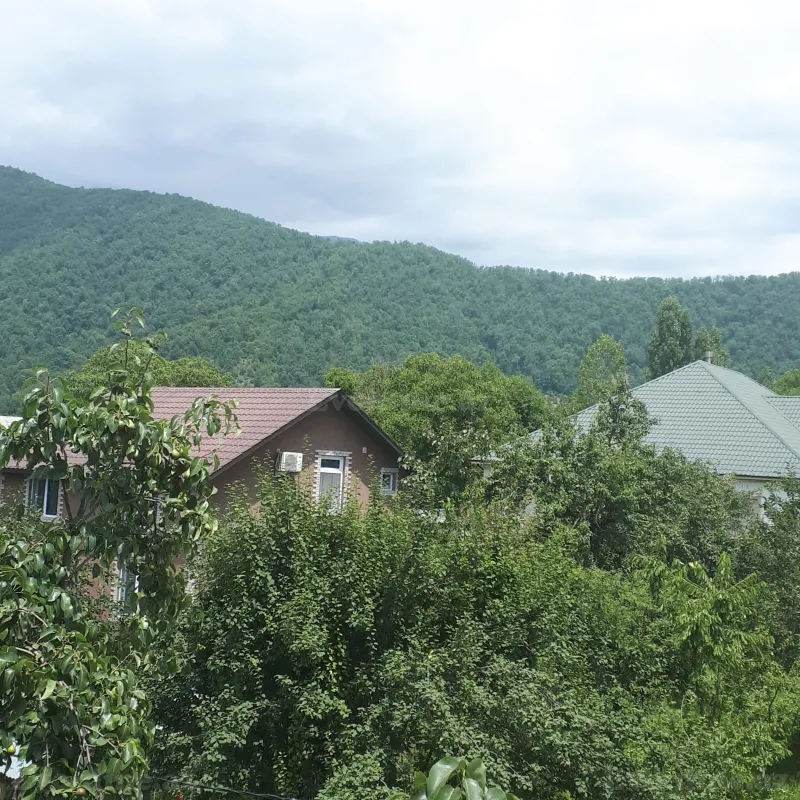 Satılır 5 otaqlı Həyət evi 135 m² Qəbələ - şəkil 21