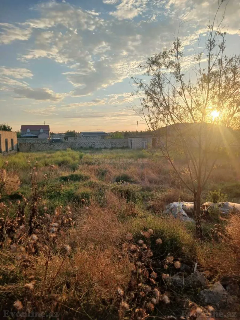 Satılır Torpaq 12 sot Bilgəh - şəkil 3