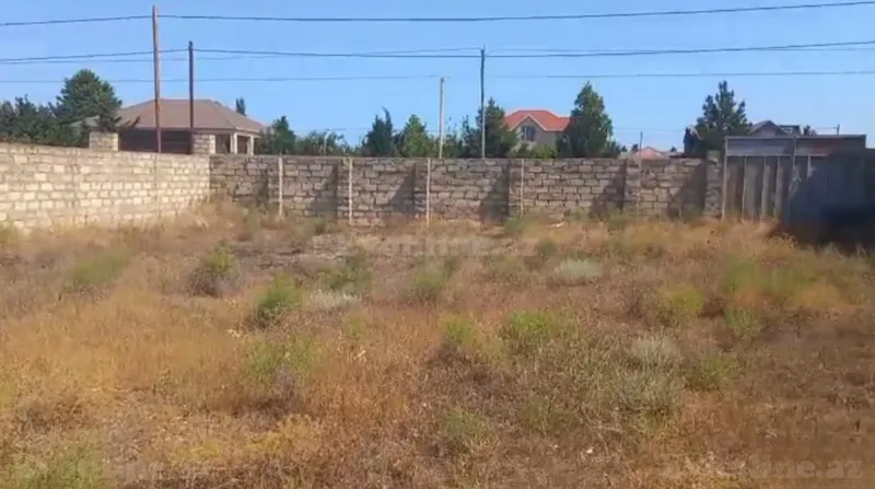 Torpaq Türkan Satılır
