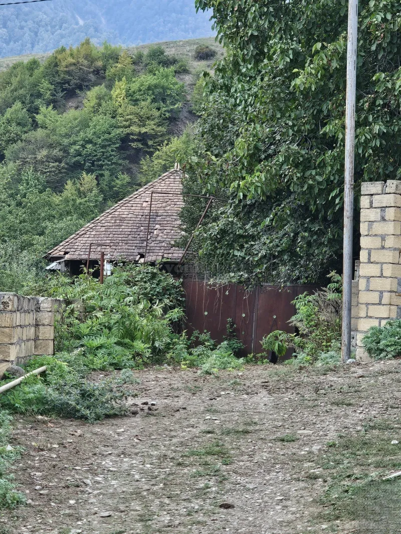 Satılır Torpaq 16 sot Qəbələ - şəkil 2