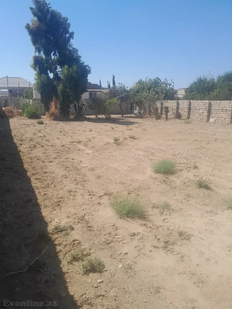 Satılır Torpaq 7 sot Qala - şəkil 2