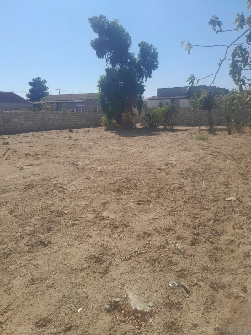 Satılır Torpaq 7 sot Qala - şəkil 4