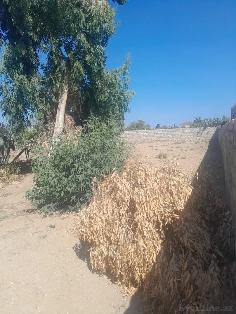 Satılır Torpaq 7 sot Qala - şəkil 5