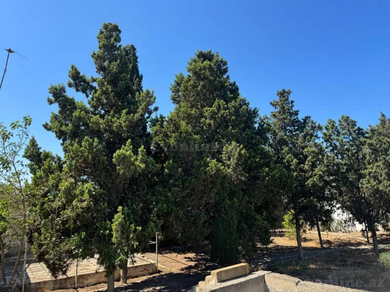 Kirayə verilir 3 otaqlı Həyət evi 42 m² Şüvəlan - şəkil 7
