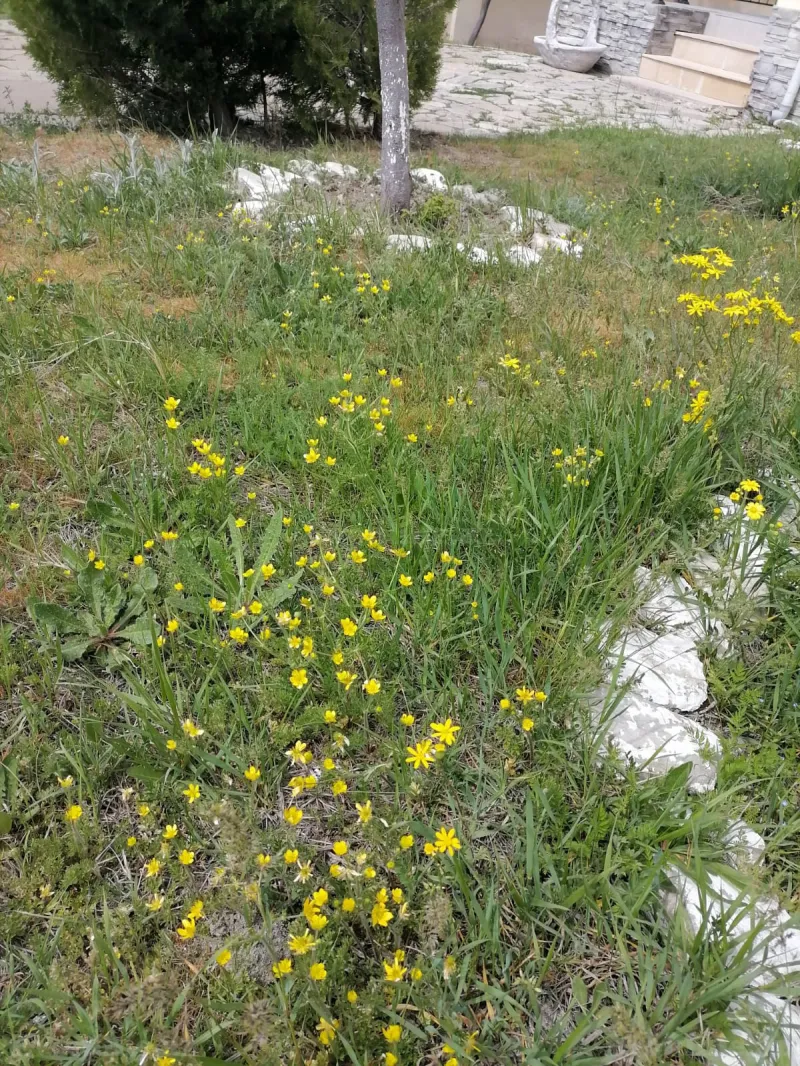 Satılır 8 otaqlı Həyət evi 204 m² Xızı - şəkil 8