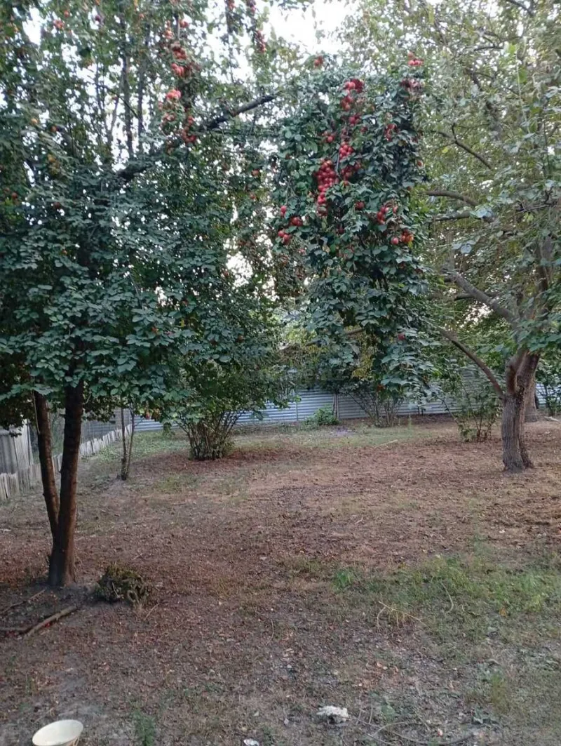 Torpaq Oğuz Satılır