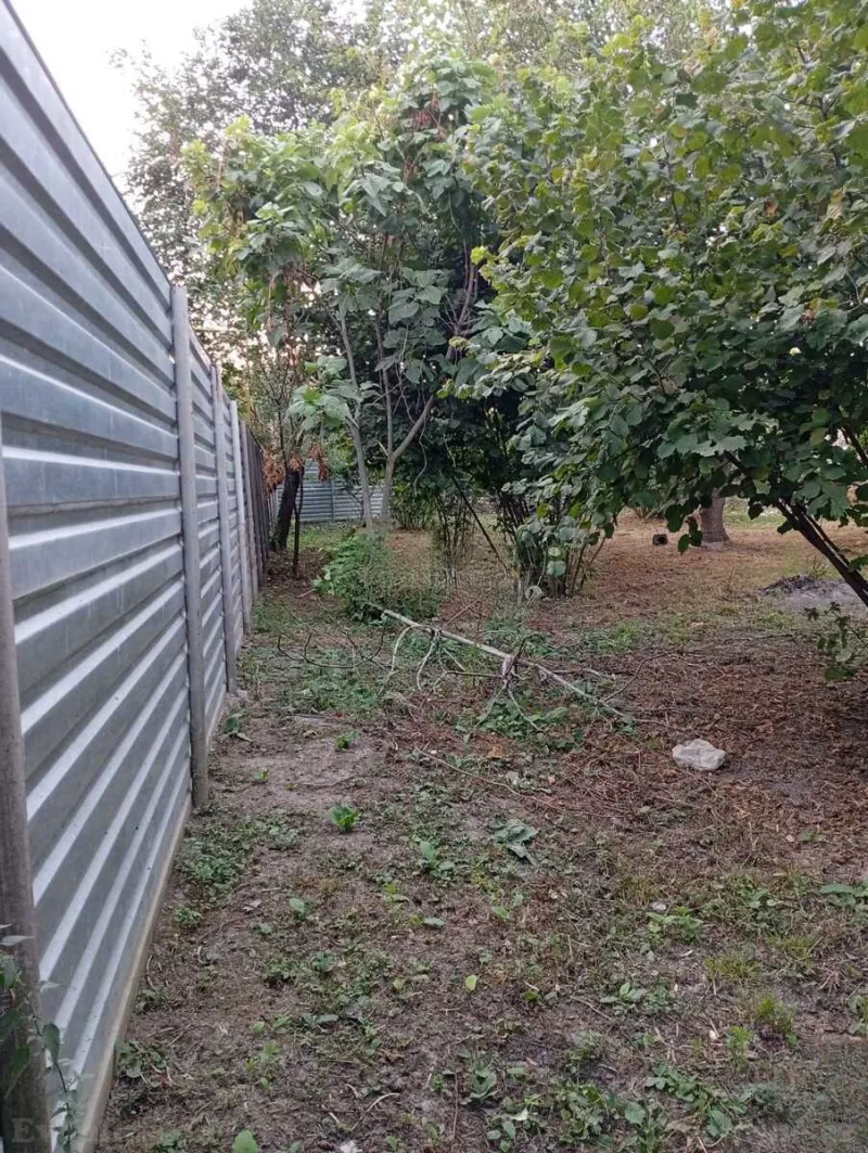 Satılır Torpaq 6 sot Oğuz - şəkil 3